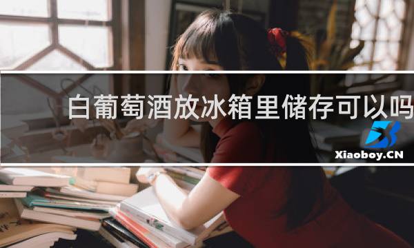 白葡萄酒放冰箱里储存可以吗
