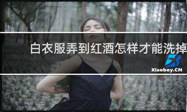 白衣服弄到红酒怎样才能洗掉