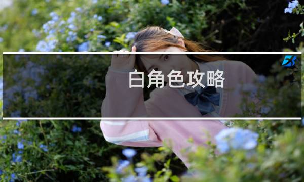 白角色攻略