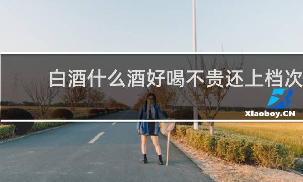 白酒什么酒好喝不贵还上档次