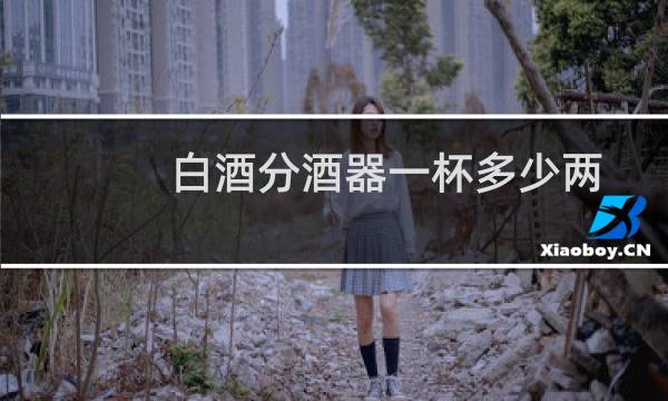 白酒分酒器一杯多少两