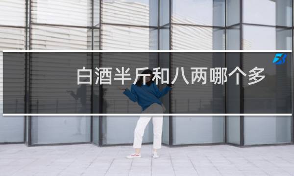 白酒半斤和八两哪个多