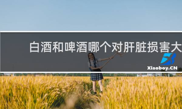 白酒和啤酒哪个对肝脏损害大