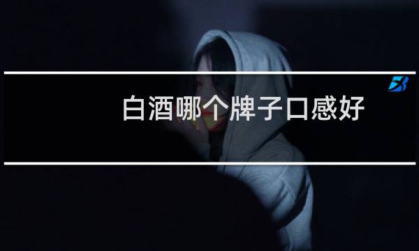 白酒哪个牌子口感好