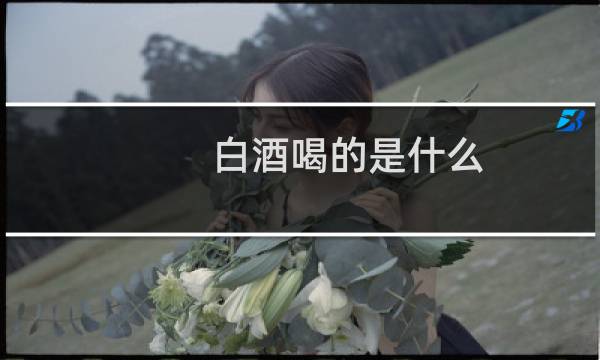 白酒喝的是什么?