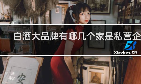 白酒大品牌有哪几个家是私营企业