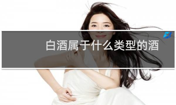 白酒属于什么类型的酒
