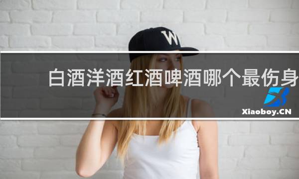 白酒洋酒红酒啤酒哪个最伤身