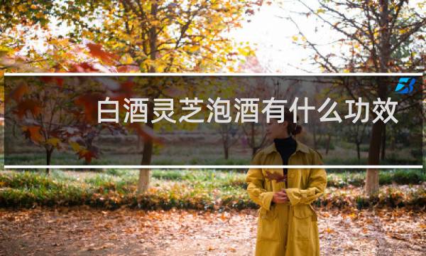 白酒灵芝泡酒有什么功效