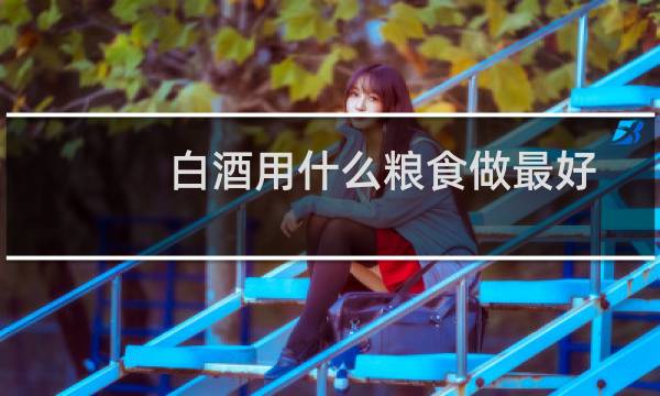白酒用什么粮食做最好