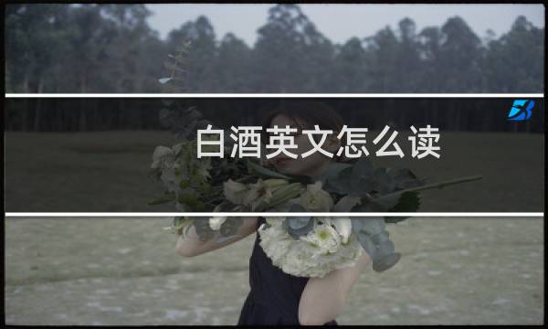 白酒英文怎么读