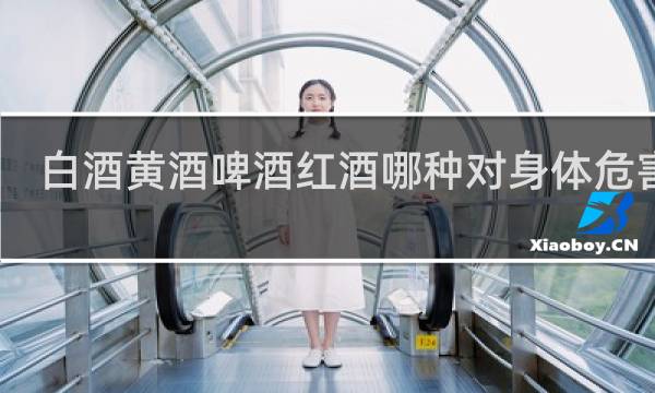 白酒黄酒啤酒红酒哪种对身体危害大