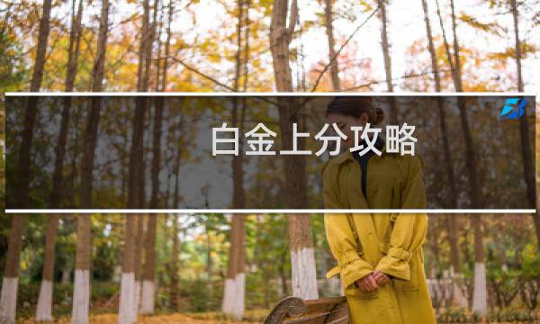 白金上分攻略
