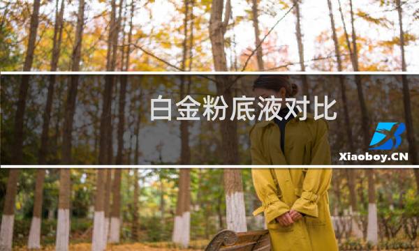 白金粉底液对比