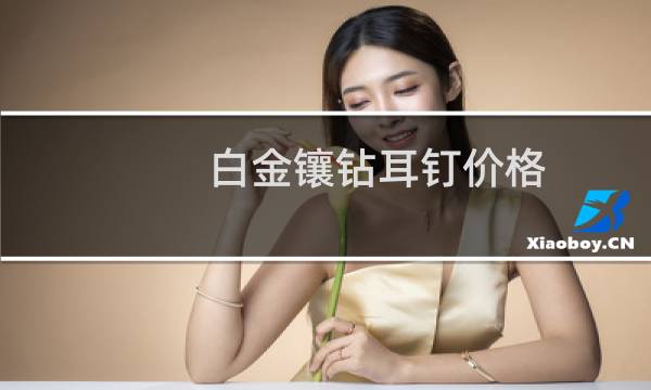 白金镶钻耳钉价格