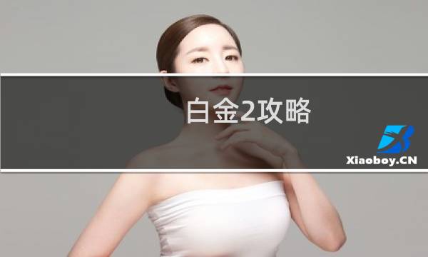 白金2攻略