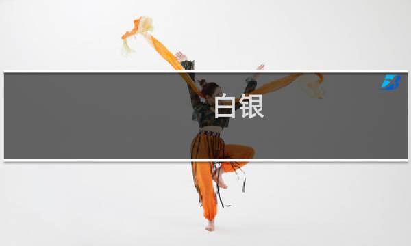 白银 攻略
