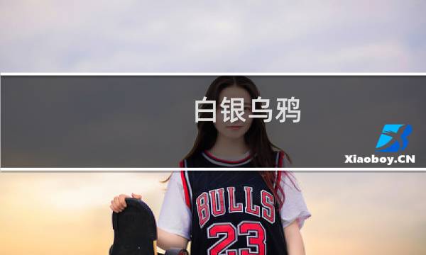 白银乌鸦 最终幻想