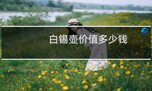白锡壶价值多少钱