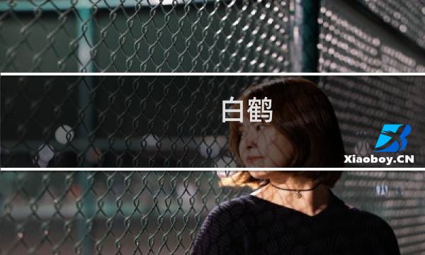 白鹤 书法 价格