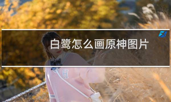 白鹭怎么画原神图片