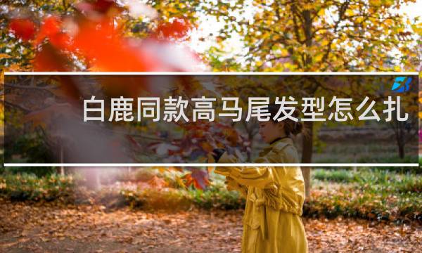 白鹿同款高马尾发型怎么扎