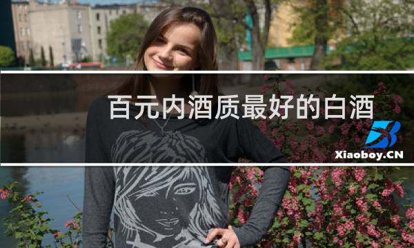 百元内酒质最好的白酒