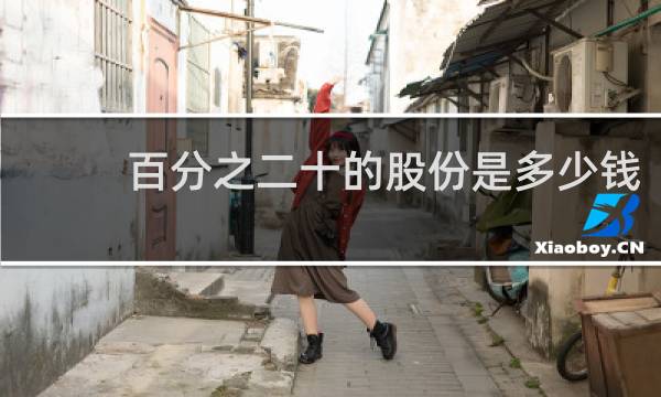 百分之二十的股份是多少钱