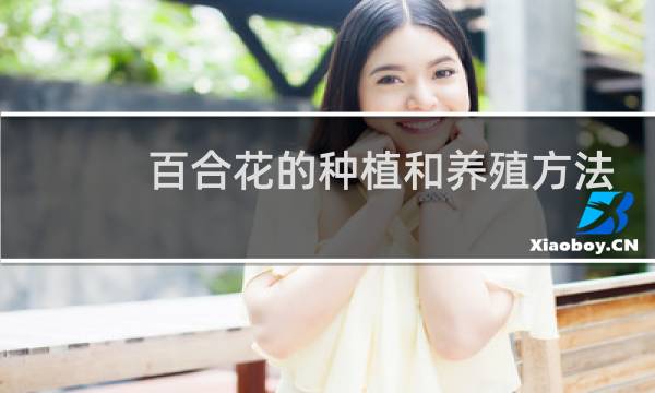 百合花的种植和养殖方法