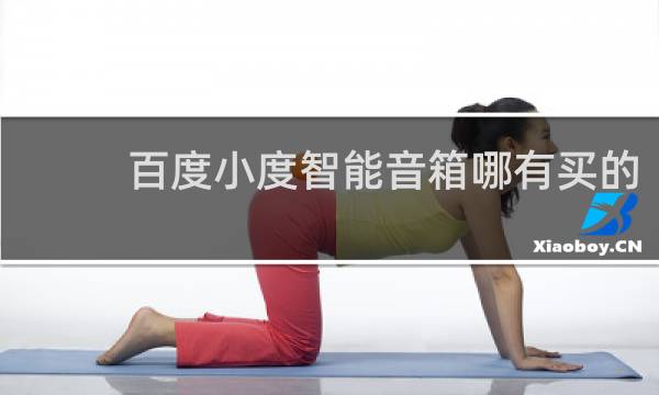 百度小度智能音箱哪有买的