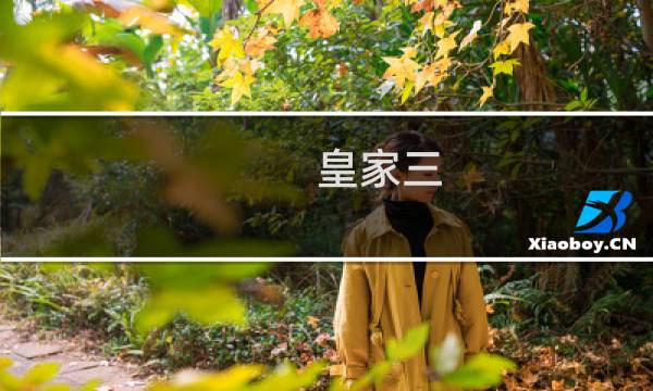皇家三 攻略