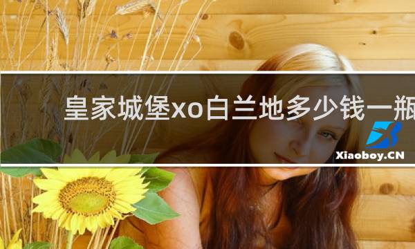 皇家城堡xo白兰地多少钱一瓶