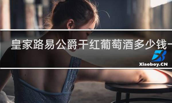 皇家路易公爵干红葡萄酒多少钱一瓶