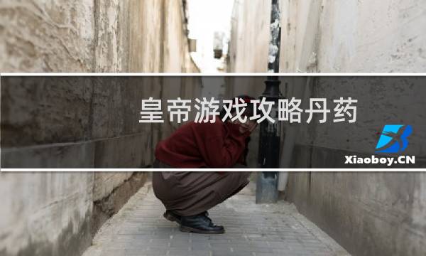 皇帝游戏攻略丹药