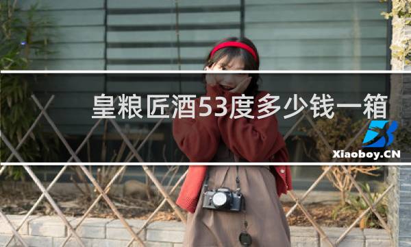皇粮匠酒53度多少钱一箱