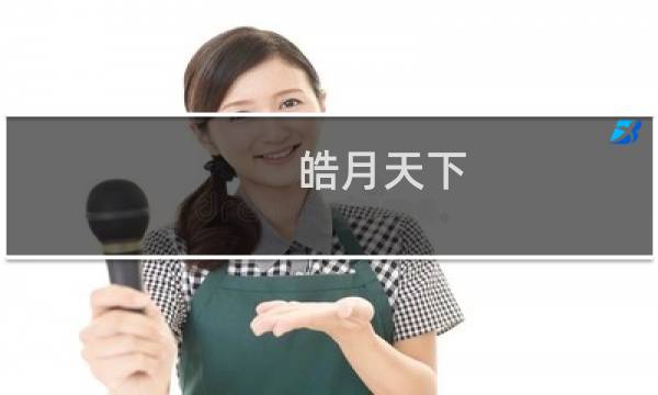 皓月天下 攻略