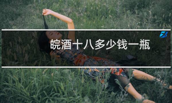 皖酒十八多少钱一瓶