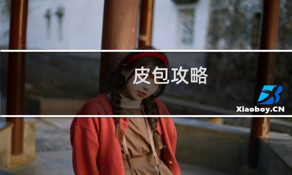 皮包攻略