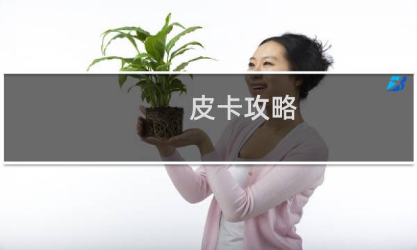 皮卡攻略