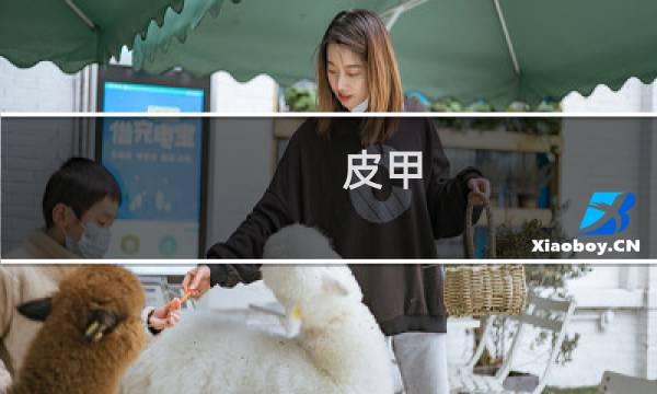 皮甲 幻化攻略