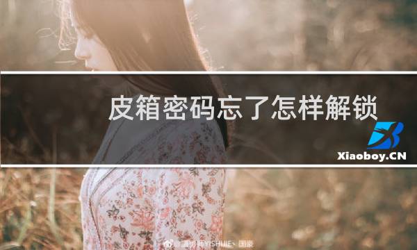 皮箱密码忘了怎样解锁