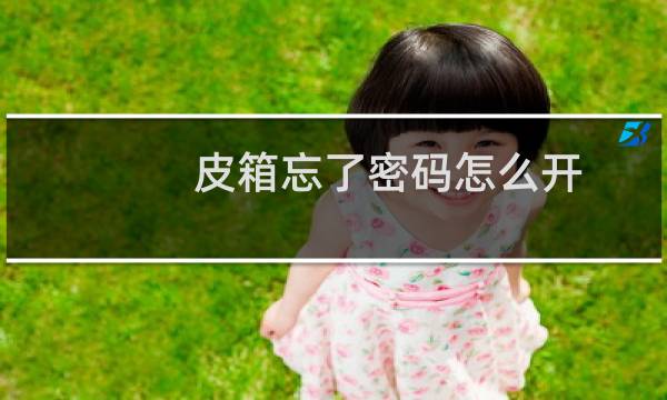 皮箱忘了密码怎么开