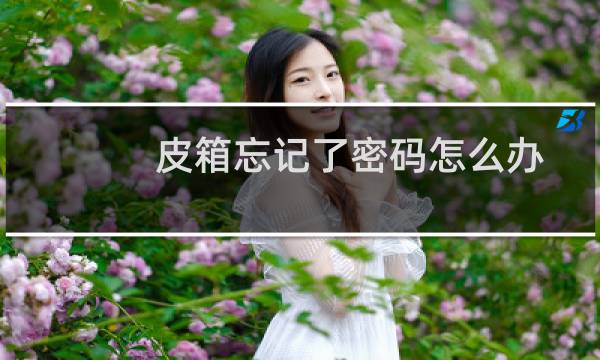皮箱忘记了密码怎么办