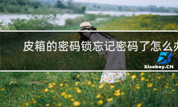 皮箱的密码锁忘记密码了怎么办