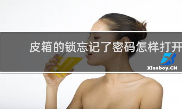 皮箱的锁忘记了密码怎样打开?