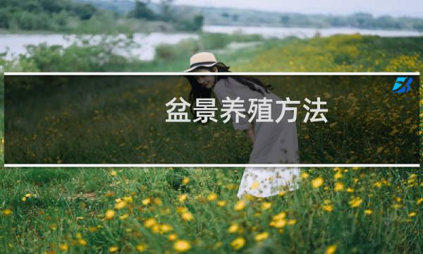 盆景养殖方法