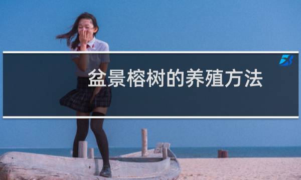 盆景榕树的养殖方法