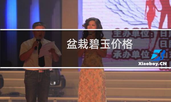 盆栽碧玉价格