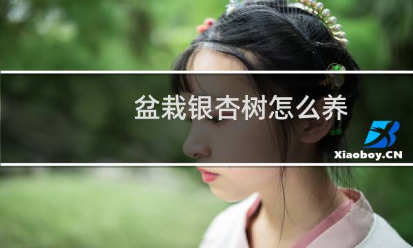 盆栽银杏树怎么养