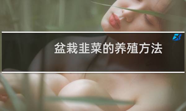 盆栽韭菜的养殖方法